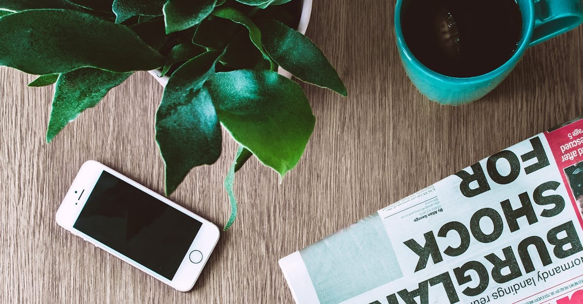 Flat lay arrangement of a coffee mug, newspaper, smartphone, and plant on a wooden table.